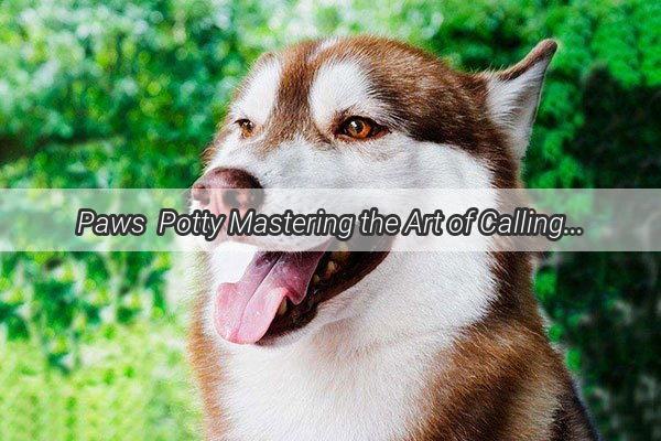 Paws  Potty Mastering the Art of Calling Your Dog to the Bathroom